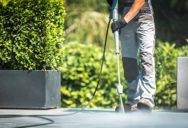 Best Fence Cleaning  in Merryville, LA