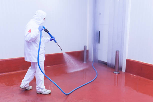 Best Pre-Holiday Cleaning  in Merryville, LA